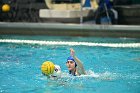 WWPolo vs CC  Wheaton College Women’s Water Polo compete in their sports inaugural match vs Connecticut College. - Photo By: KEITH NORDSTROM : Wheaton, water polo, inaugural